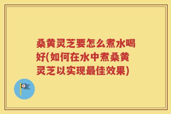 桑黄灵芝要怎么煮水喝好(如何在水中煮桑黄灵芝以实现最佳效果)