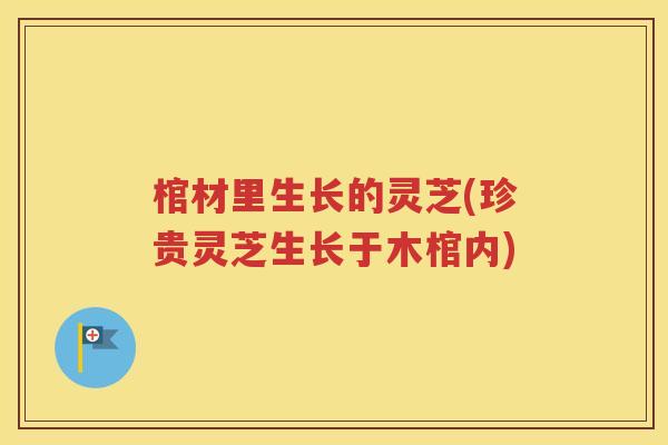 棺材里生长的灵芝(珍贵灵芝生长于木棺内)
