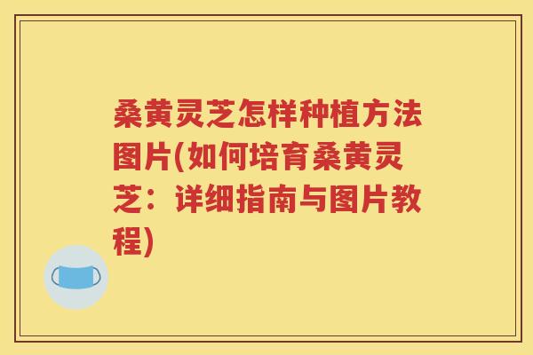 桑黄灵芝怎样种植方法图片(如何培育桑黄灵芝：详细指南与图片教程)