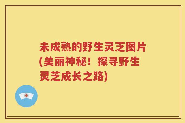 未成熟的野生灵芝图片(美丽神秘！探寻野生灵芝成长之路)