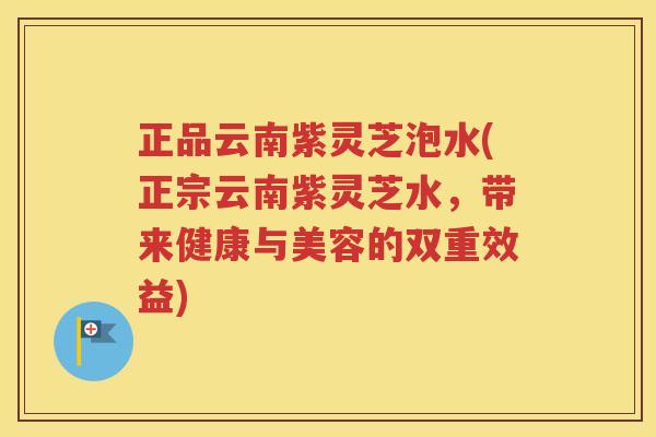 正品云南紫灵芝泡水(正宗云南紫灵芝水，带来健康与美容的双重效益)