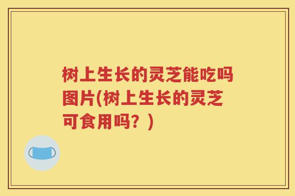 树上生长的灵芝能吃吗图片(树上生长的灵芝可食用吗？)