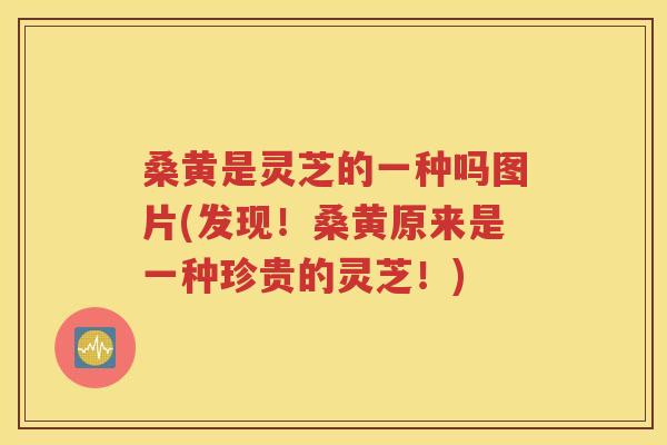 桑黄是灵芝的一种吗图片(发现！桑黄原来是一种珍贵的灵芝！)