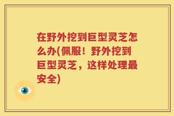在野外挖到巨型灵芝怎么办(佩服！野外挖到巨型灵芝，这样处理最安全)