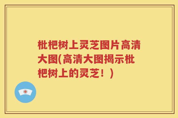 枇杷树上灵芝图片高清大图(高清大图揭示枇杷树上的灵芝！)