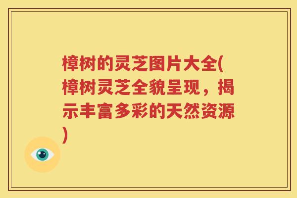 樟树的灵芝图片大全(樟树灵芝全貌呈现，揭示丰富多彩的天然资源)