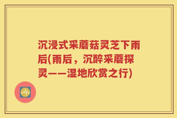 沉浸式采蘑菇灵芝下雨后(雨后，沉醉采蘑探灵——湿地欣赏之行)