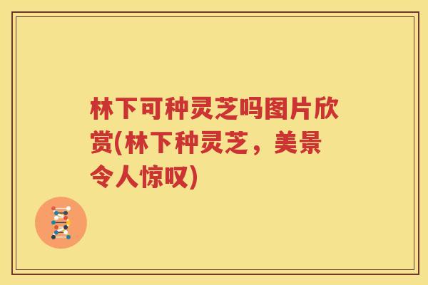 林下可种灵芝吗图片欣赏(林下种灵芝，美景令人惊叹)