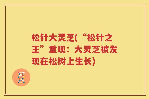 松针大灵芝(“松针之王”重现：大灵芝被发现在松树上生长)