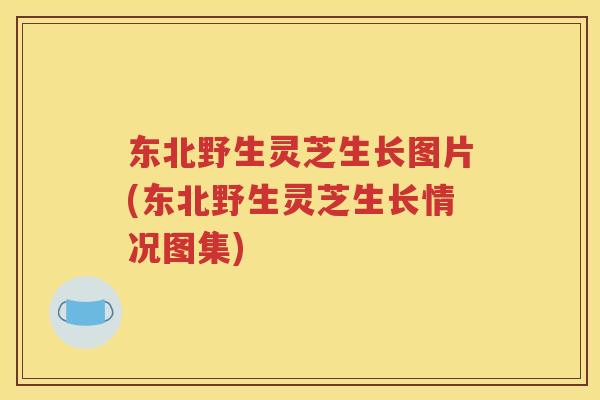 东北野生灵芝生长图片(东北野生灵芝生长情况图集)