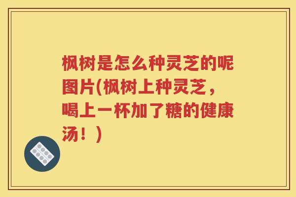 枫树是怎么种灵芝的呢图片(枫树上种灵芝，喝上一杯加了糖的健康汤！)