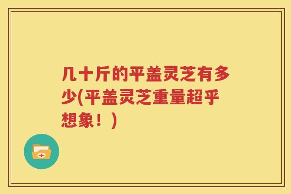 几十斤的平盖灵芝有多少(平盖灵芝重量超乎想象！)