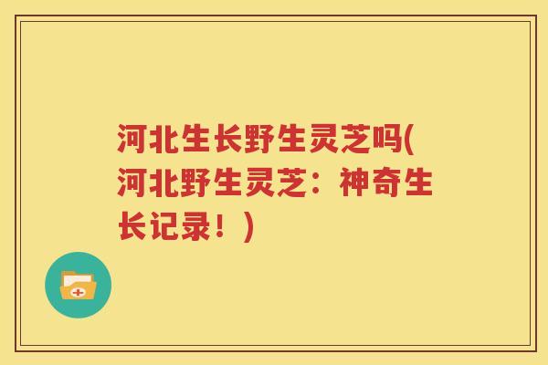 河北生长野生灵芝吗(河北野生灵芝：神奇生长记录！)