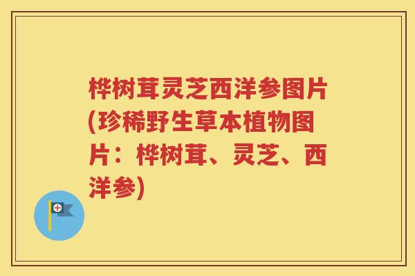 桦树茸灵芝西洋参图片(珍稀野生草本植物图片：桦树茸、灵芝、西洋参)