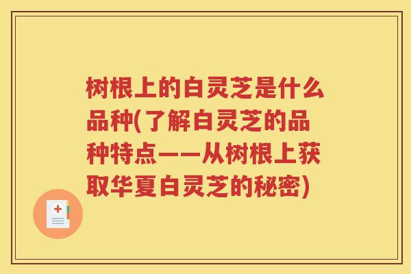 树根上的白灵芝是什么品种(了解白灵芝的品种特点——从树根上获取华夏白灵芝的秘密)
