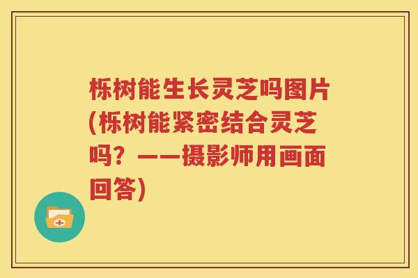 栎树能生长灵芝吗图片(栎树能紧密结合灵芝吗？——摄影师用画面回答)