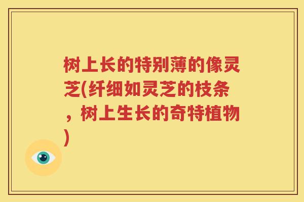 树上长的特别薄的像灵芝(纤细如灵芝的枝条，树上生长的奇特植物)