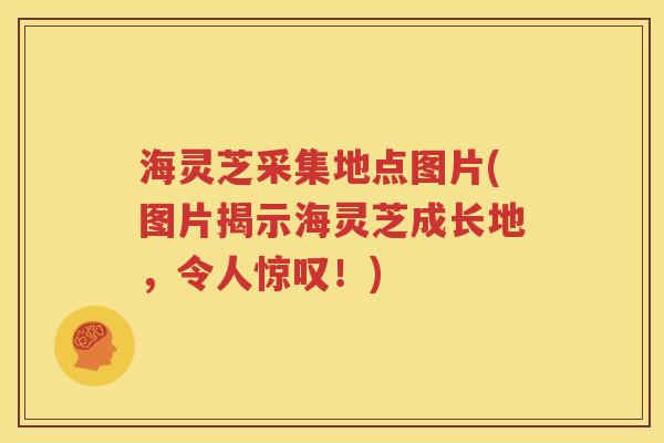 海灵芝采集地点图片(图片揭示海灵芝成长地，令人惊叹！)