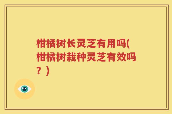 柑橘树长灵芝有用吗(柑橘树栽种灵芝有效吗？)