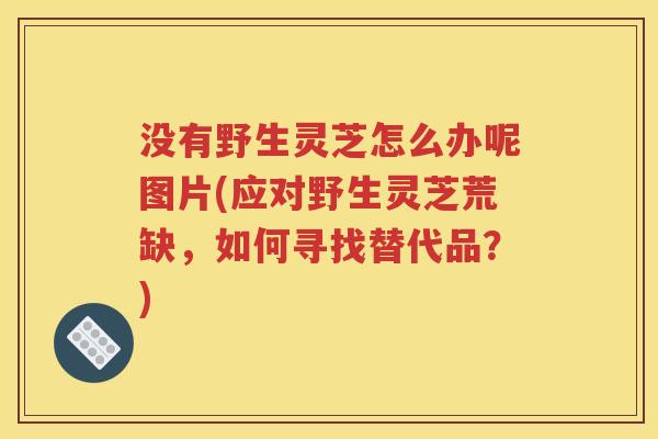 没有野生灵芝怎么办呢图片(应对野生灵芝荒缺，如何寻找替代品？)