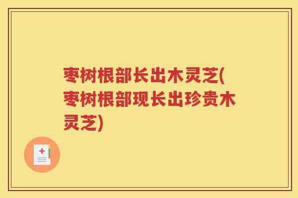 枣树根部长出木灵芝(枣树根部现长出珍贵木灵芝)