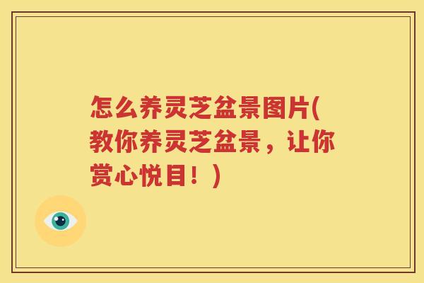 怎么养灵芝盆景图片(教你养灵芝盆景，让你赏心悦目！)