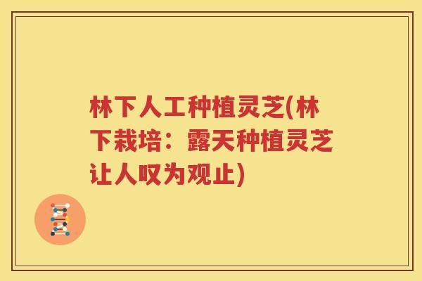 林下人工种植灵芝(林下栽培：露天种植灵芝让人叹为观止)
