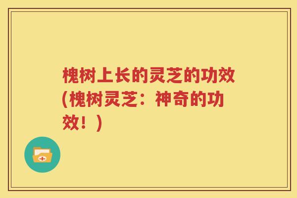 槐树上长的灵芝的功效(槐树灵芝：神奇的功效！)