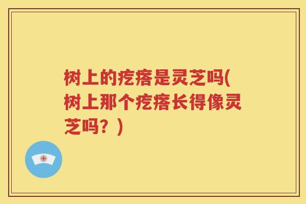 树上的疙瘩是灵芝吗(树上那个疙瘩长得像灵芝吗？)