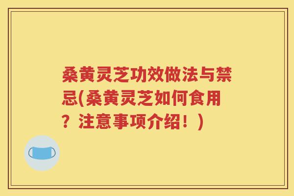桑黄灵芝功效做法与禁忌(桑黄灵芝如何食用？注意事项介绍！)