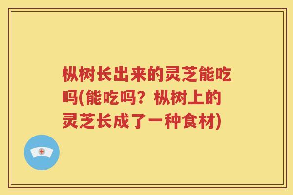 枞树长出来的灵芝能吃吗(能吃吗？枞树上的灵芝长成了一种食材)