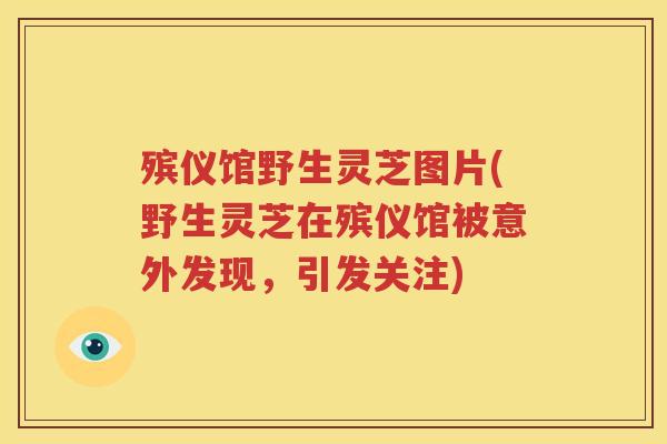 殡仪馆野生灵芝图片(野生灵芝在殡仪馆被意外发现，引发关注)