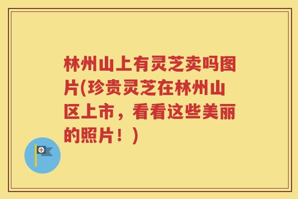 林州山上有灵芝卖吗图片(珍贵灵芝在林州山区上市，看看这些美丽的照片！)