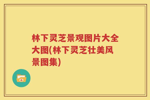 林下灵芝景观图片大全大图(林下灵芝壮美风景图集)