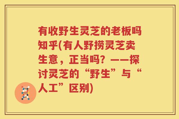 有收野生灵芝的老板吗知乎(有人野捞灵芝卖生意，正当吗？——探讨灵芝的“野生”与“人工”区别)