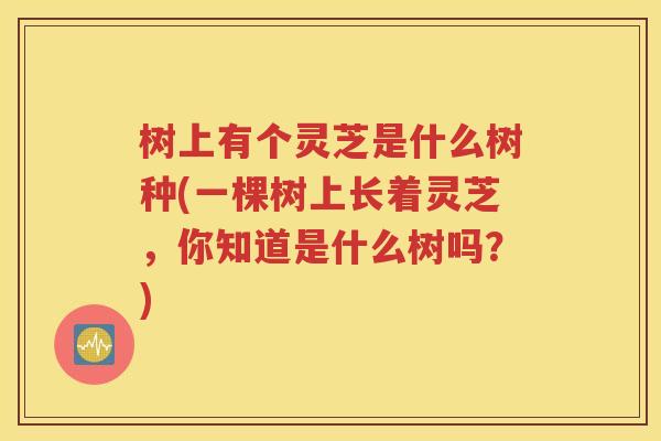 树上有个灵芝是什么树种(一棵树上长着灵芝，你知道是什么树吗？)