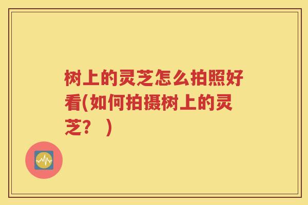 树上的灵芝怎么拍照好看(如何拍摄树上的灵芝？ )