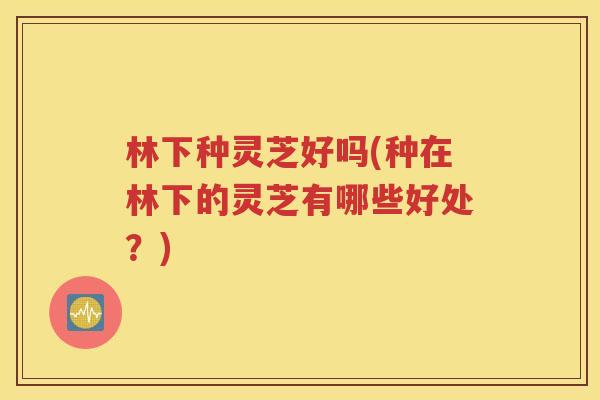 林下种灵芝好吗(种在林下的灵芝有哪些好处？)