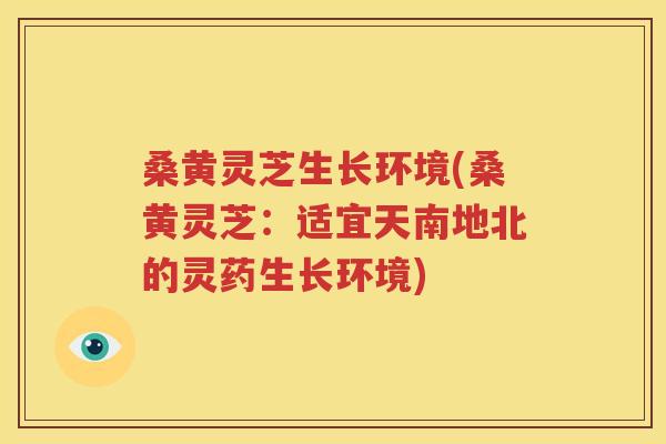 桑黄灵芝生长环境(桑黄灵芝：适宜天南地北的灵药生长环境)