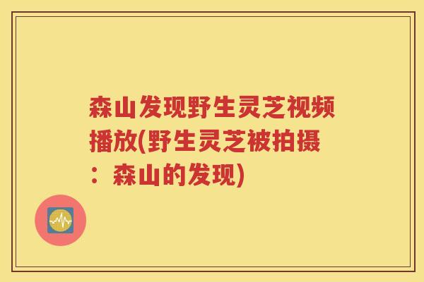 森山发现野生灵芝视频播放(野生灵芝被拍摄：森山的发现)