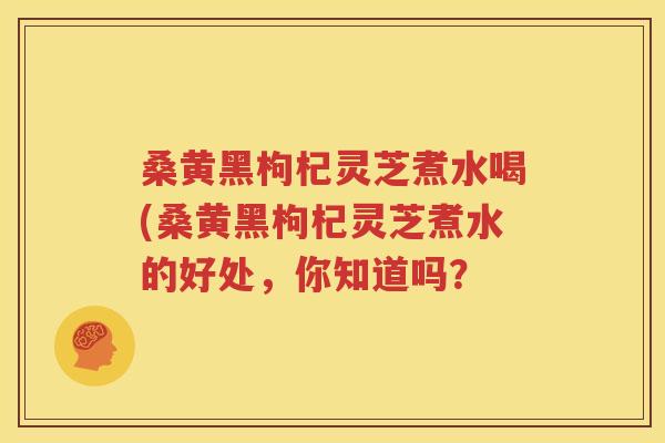 桑黄黑枸杞灵芝煮水喝(桑黄黑枸杞灵芝煮水的好处，你知道吗？