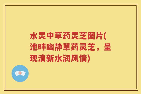 水灵中草药灵芝图片(池畔幽静草药灵芝，呈现清新水润风情)