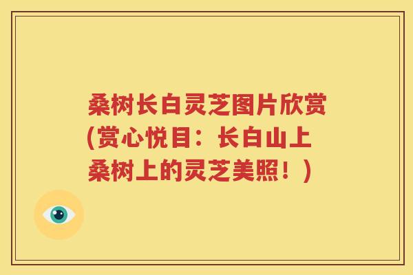 桑树长白灵芝图片欣赏(赏心悦目：长白山上桑树上的灵芝美照！)