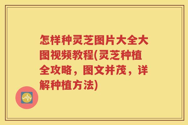 怎样种灵芝图片大全大图视频教程(灵芝种植全攻略，图文并茂，详解种植方法)
