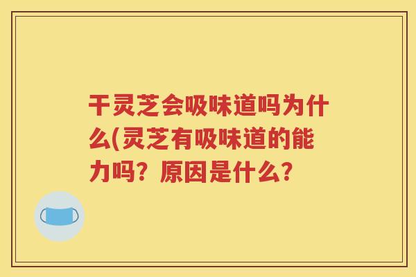 干灵芝会吸味道吗为什么(灵芝有吸味道的能力吗？原因是什么？