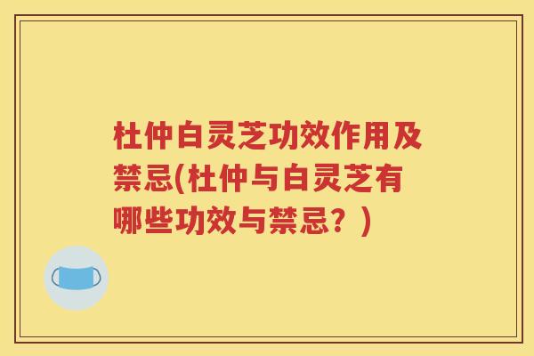 杜仲白灵芝功效作用及禁忌(杜仲与白灵芝有哪些功效与禁忌？)