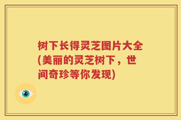 树下长得灵芝图片大全(美丽的灵芝树下，世间奇珍等你发现)
