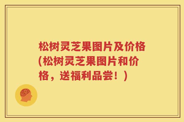 松树灵芝果图片及价格(松树灵芝果图片和价格，送福利品尝！)