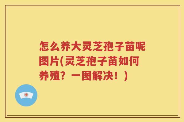怎么养大灵芝孢子苗呢图片(灵芝孢子苗如何养殖？一图解决！)