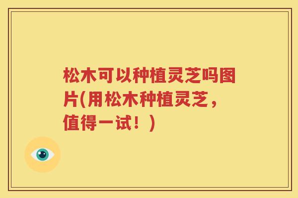 松木可以种植灵芝吗图片(用松木种植灵芝，值得一试！)